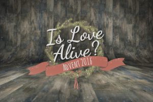 Is Love Alive 2016